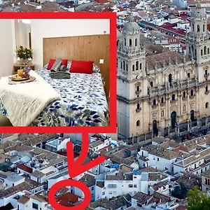 Apartamento Catedral Del Aove, Centro Historico, Espacioso Y Tranquilo, Jaén